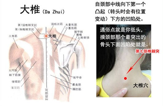 ��Ľ��ű�Ѯ����ҽѧ�ط����ܼ򵥣���Ч��! - Եˮ���� - 